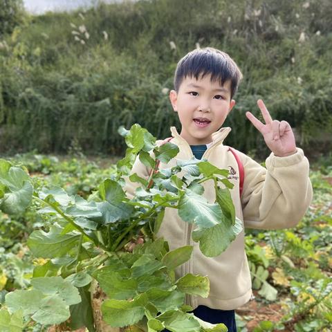 汇川区萌芽幼儿园大三班12月美篇