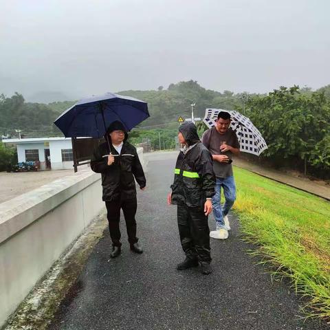 崖州区副区长、区级河湖长陈隆到牛腊水库检查水库安全及防汛防溺水工作