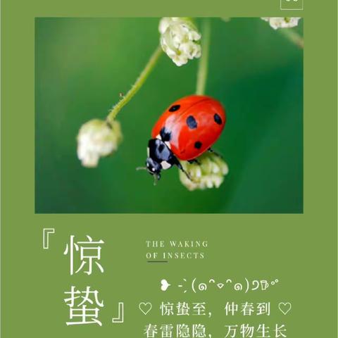 ☘️春日惊雷，万物惊喜—渑池县实验幼儿园二十四节气活动