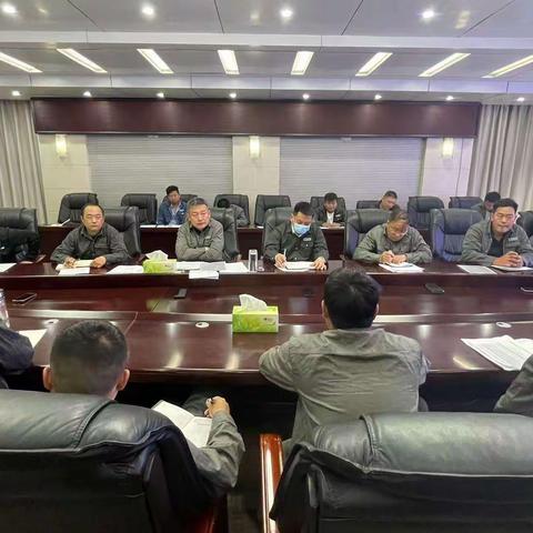 龙润郸城分公司组织召开工程管控推进会暨月度安全例会