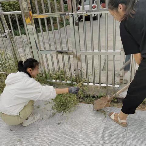 “卫”爱先行，“境”待归来—怀宁县春田花花幼儿园开学前环境卫生准备