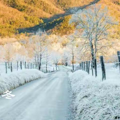 《秋韵正浓时，悄然已立冬》——响水乡中心幼儿园二十四节气之立冬