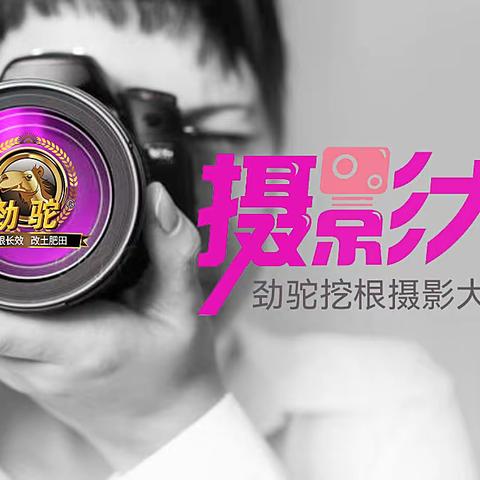 第七届挖根摄影大赛第十期入围作品展播