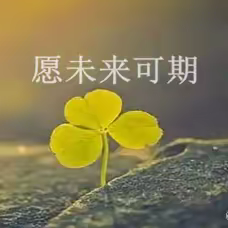 杨津庄镇中心组孙俊芝八月份总结