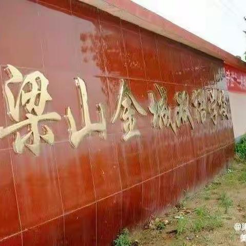 校园春色美花开，少年勤奋展未来—梁山县金城小学