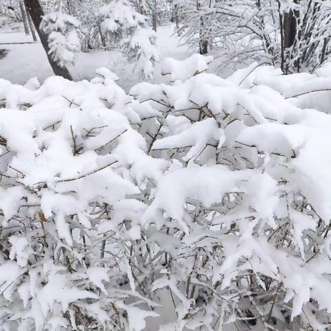 雪天帮助肇事车辆 暖心举动温暖司乘