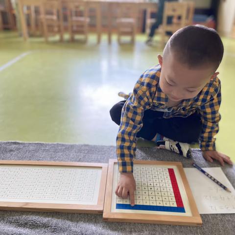 金阳万田幼儿园观察记录—佟昕楷（5月）