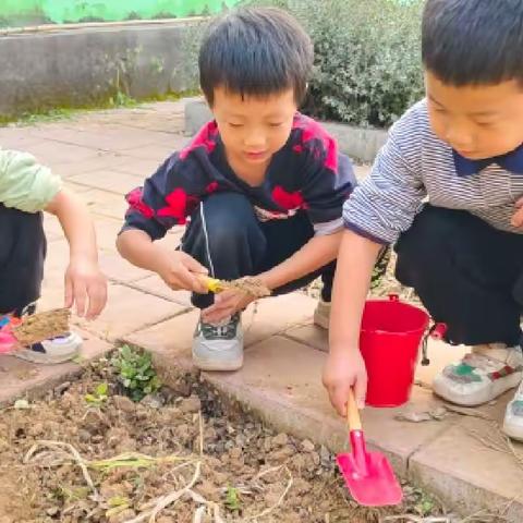 【自主游戏】当童年遇上泥巴——汤泉中心幼儿园