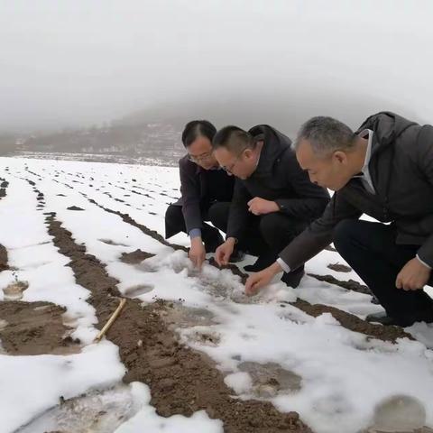 履职尽责担使命，助农防灾减灾在行动