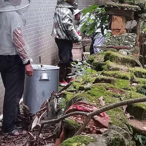 飘花香，蜂涌至，采花蜜，友垂青，得好评，心欢喜！