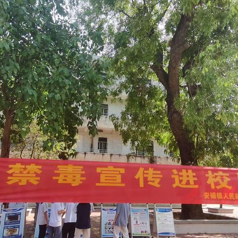 禁毒宣传进校园，守护青春不“毒”行