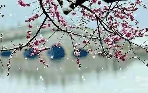 瑞吉欧幼儿园小一班12月生活记录