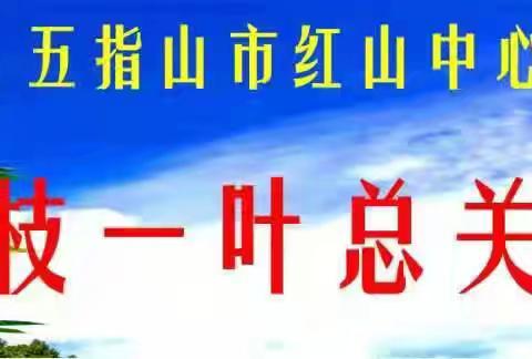 五指山市红山中心学校关于学习“国家智慧中小学教育平台资源应用”培训简报