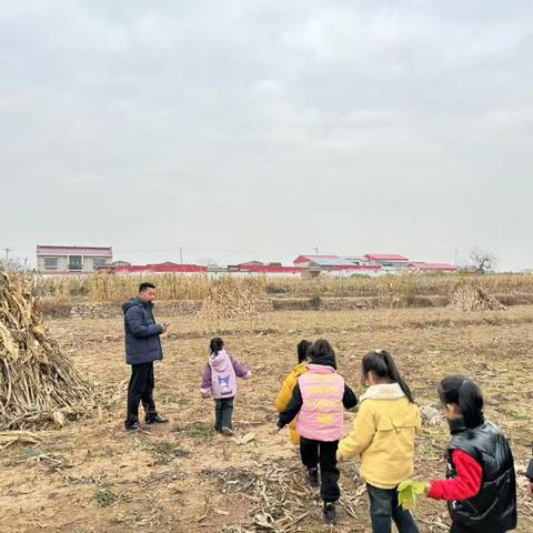 西万安幼儿园——走进秋天、发现秋天、收集秋天🍂 ‍