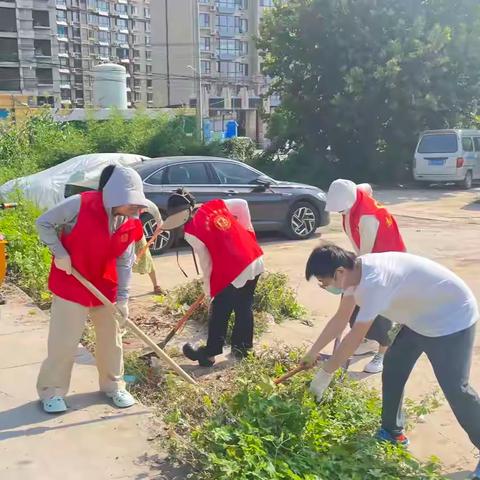 『双服双争』“小扫帚、大环境”--中兴社区人居环境整治活动