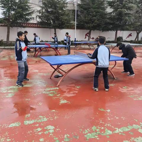 乒乓球社团活动简报：挥洒汗水，凝聚热爱