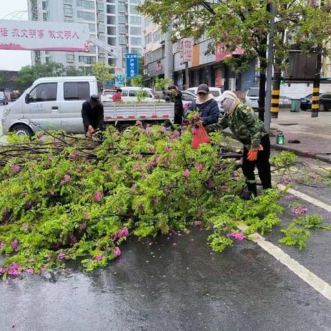 住建局园林绿化股，雨中抢险，护绿清障