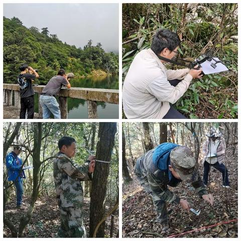 闽江源保护区深入推进3大科考调查项目   持续深化生物多样性保护工程