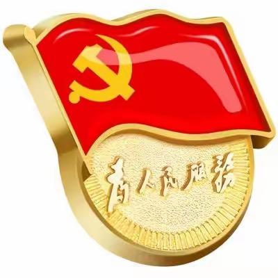 王子岩以普通党员身份参加所在 党支部专题组织生活会