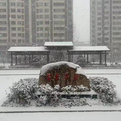 书香华府服务中心12月份简报