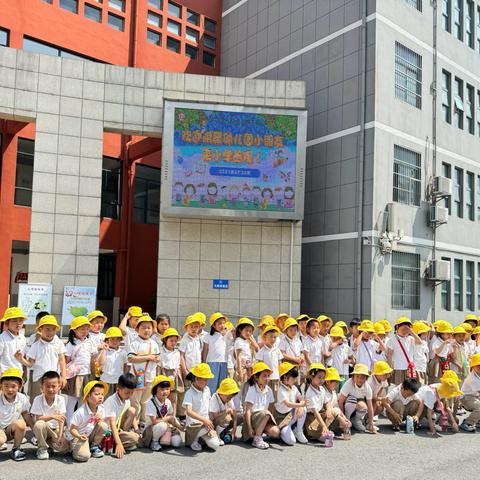 幼小衔接—我们在行动，走进小学