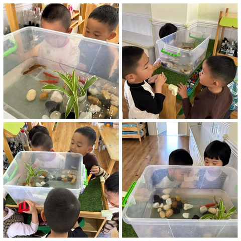 养殖记《小X,你好呀？》