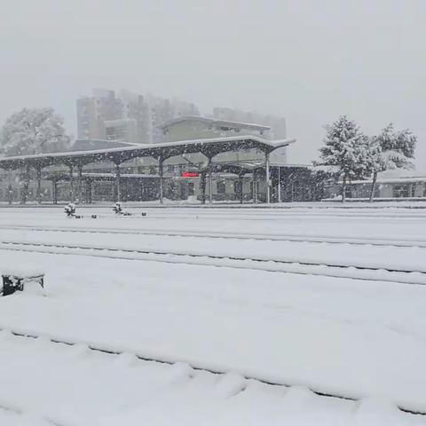 不畏严寒、迎雪而战，保畅通、保安全