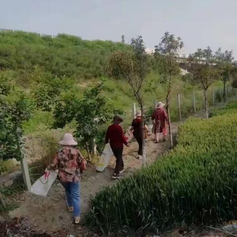 人居环境卫生持续清洁我们在行动