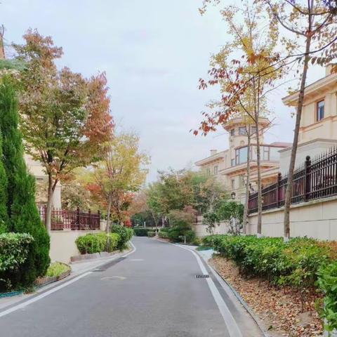 港中旅公馆一期11月份物业服务简报