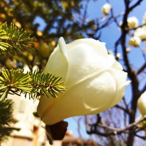 港中旅公馆一期 9 月份物业服务简报