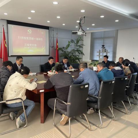 三垛党支部开展11月“党员统一活动日”活动