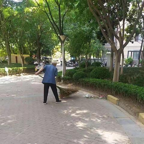 新东社区开展夏日院落环境卫生整治活动