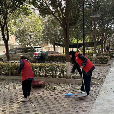 开展环境清理，共建美好家园