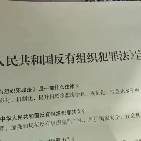 岩南村进行《中华人民共和国反有组织犯罪法》宣传