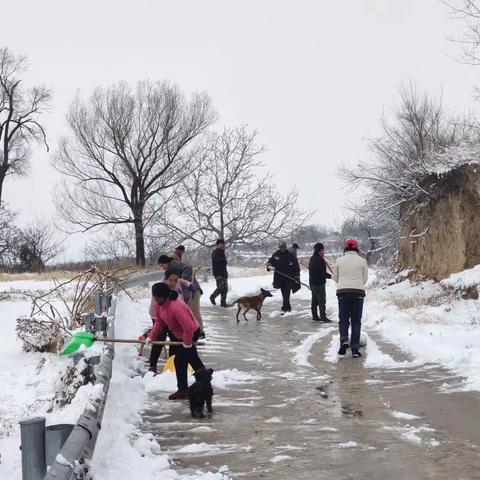 冬日扫雪   暖人心
