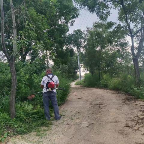 岩南村 烈日炎炎绿草长，绿化修剪打草忙