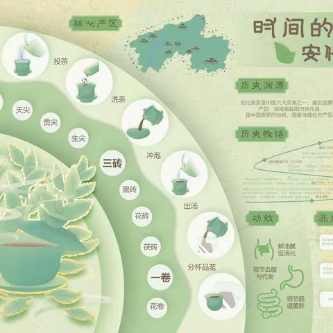数字艺术学院数媒2402班《视觉化信息设计》优秀作业