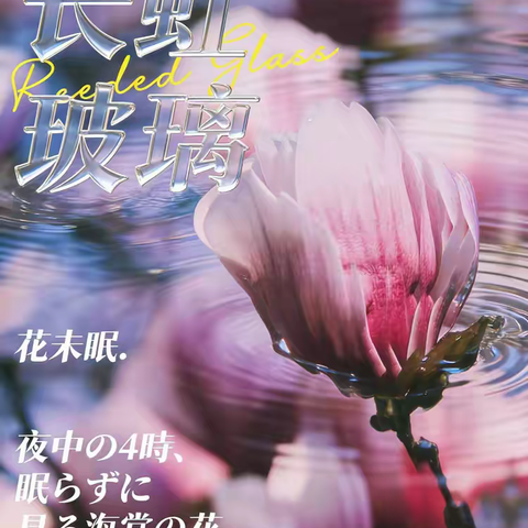 《数字图形》数媒2505班优秀作品展