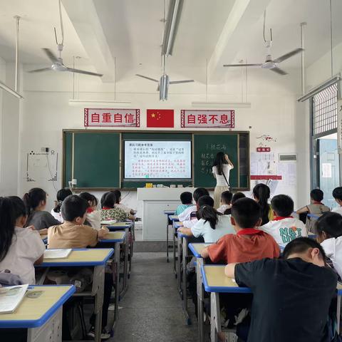 飘香桂花雨，浓浓思乡亲