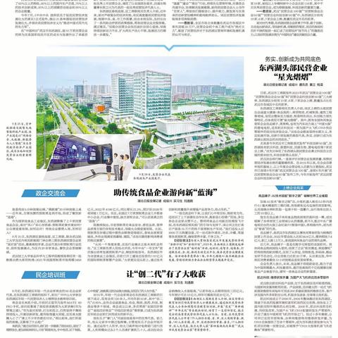 《湖北日报》整版报道东西湖区民营经济发展成绩