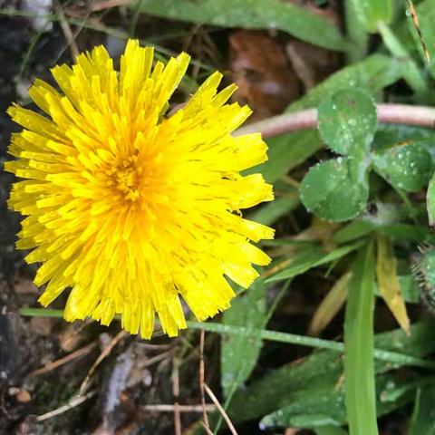 《弘道》第94期「編者的話」