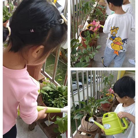 【海口市博义幼儿园】自理能力美篇