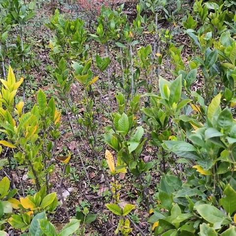 最是初春好时节 深耕细研正当时—中考复习教学策略研训活动