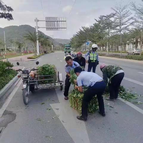 菜农蔬菜洒落在路 吉阳城管暖心相助