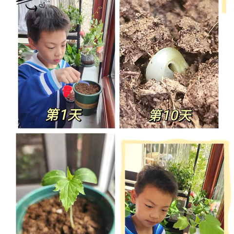 以“劳”树德   以“劳”育美（第十四期）——中心小学三年级劳动教育系列活动纪实
