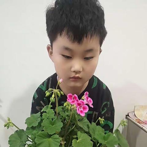 谈家风忆家训—大坝沟小学三年二班杨袖钰