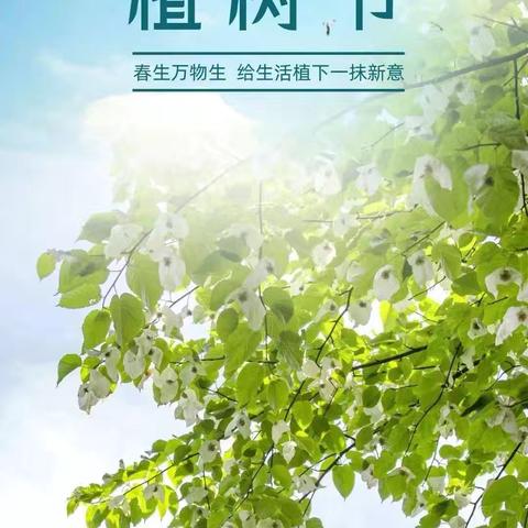 植树节｜播种绿色，守护美好