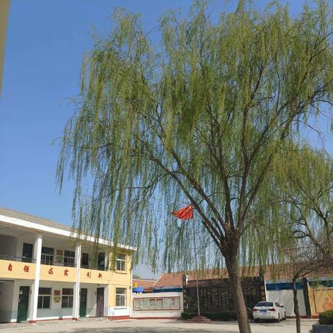 常规抓教学，检查促提升——黄堽镇大张庄小学