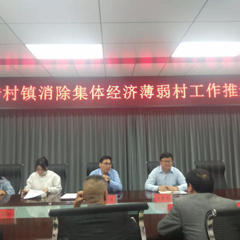 市农委到涉村镇调研指导村集体经济发展情况