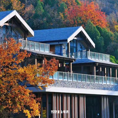 请回答2023——用“心”回望，以“新”前行（农村经济科工作纪实）